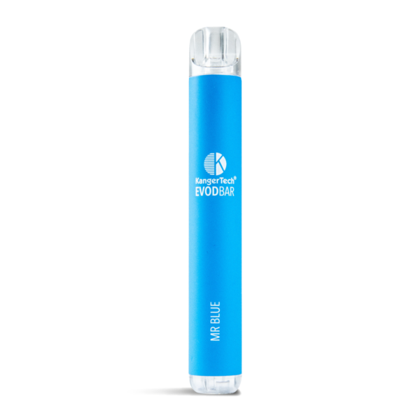 Mr Blue EVOD Bar Disposable Vape D600 with FOAM-TEC