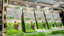 Spring Fayre Medi CBD Dark Chocolate with Salted Caramel 100mg