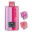 Cherry Edition Flavour Elfbar Dual 10K Vape Pod Kit - Bulk 5 Pack