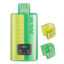 Green Edition Flavour Elfbar Dual 10K Vape Pod Kit - Bulk 5 Pack