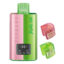 Watermelon Edition Flavour Elfbar Dual 10K Vape Pod Kit - Bulk 5 Pack