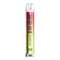 SKE 600 Vape Pod Kits (Pack of 10)